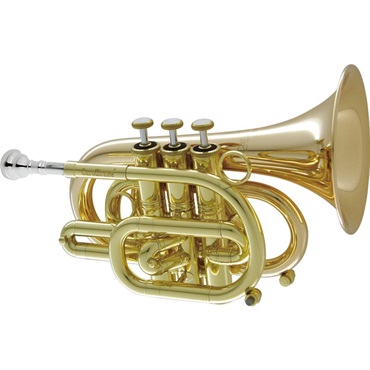CAROL BRASS キャロルブラス / N3000 GB 【Bb ポケットトランペット】【出荷前調整で安心】