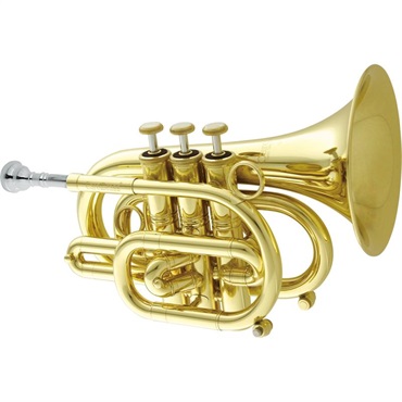 CAROL BRASS キャロルブラス / N3000 CL 【Bb ポケット トランペット 】【出荷前調整で安心】
