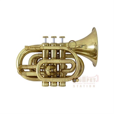 CAROL BRASS キャロルブラス / N3000 AL 【Bb ポケット トランペット 】【出荷前調整で安心】