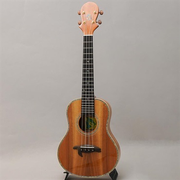 BIG ISLAND KX-TRG KX Koa Tenor ビッグアイランド