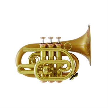 CAROL BRASS キャロルブラス / N3002 Arturo Sandoval 【Bb ポケットトランペット】【出荷前調整で安心】