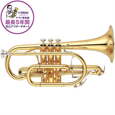 ヤマハ / YCR-8335G Neo 【Bb コルネット】【受注生産品】【5年保証】【出荷前調整で安心】