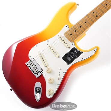 Player Plus Stratocaster (Tequila Sunrise/Maple)