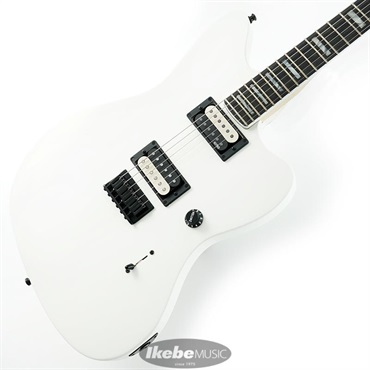 Fender MEX Jim Root Jazzmaster V4