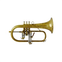 キャロルブラス / N6200 AL 【Bb フリューゲル ホルン】【出荷前調整で安心】