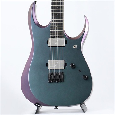 Ibanez Prestige RGD3121-PRF (Polar Lights Flat) [SPOT MODEL]