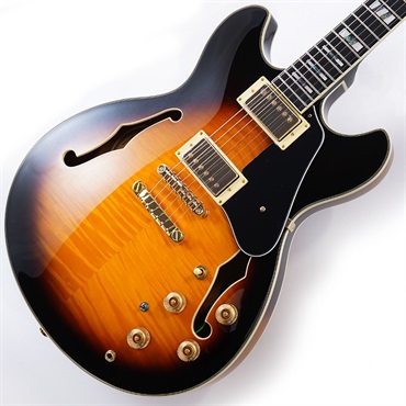 Ibanez JSM10-VYS [John Scofield Model]
