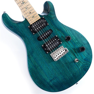 P.R.S. SE Swamp Ash Special (Iri Blue)