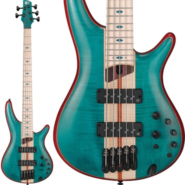 Ibanez 【入荷待ち、ご予約受付中】　Premium SR1425B-CGL