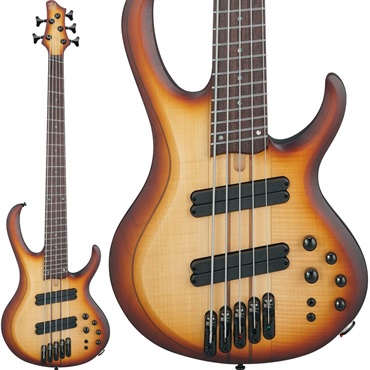 Ibanez BTB705LM-NNF [SPOT MODEL]