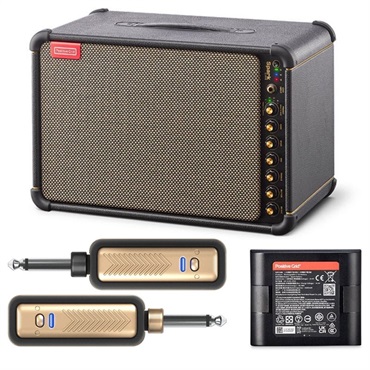 Spark LIVE 【Spark Battery +ワイヤレスSpark LINK セット】（ポジティブ ポジティヴ グリッド）