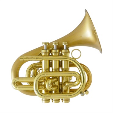 CAROL BRASS キャロルブラス / N7000 SATIN-BELL GB (Dizzy) 【Bb ポケット トランペット 】【出荷前調整で安心】