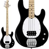 Intro Series Ray2 (Black/Maple) 【夏先取り大特価セール】