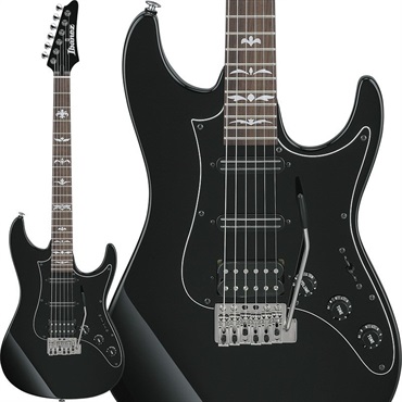ATZ300-BK (Black) [Andy Timmons Model]