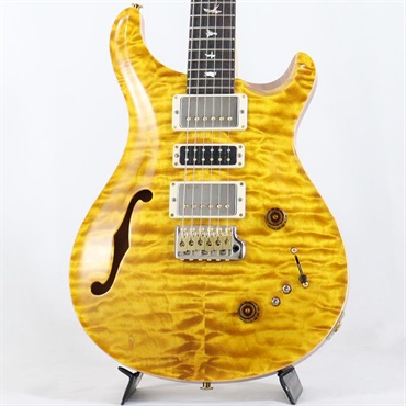 Ikebe 50th Anniversary Wood Library Special Semi-Hollow (Honey Gold) [SN.0401647] 【2025年生産品】