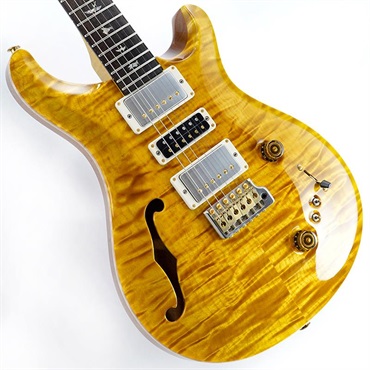 【Paul Reed Smith氏サインイン入りバックプレート付属！】 Ikebe 50th Anniversary Wood Library Special Semi-Hollow (Honey Gold) SN.0401646