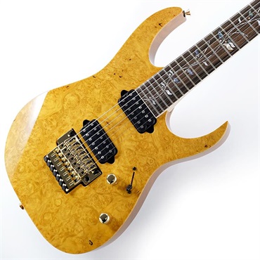 Ibanez Ikebe 50th Anniversary j.custom IKRG85271 (Burl Maple Top) SN.2506462