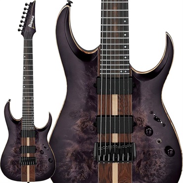 Premium RGA217P1PB-DRL (Deep Twilight Burst Low Gloss) [SPOT MODEL]