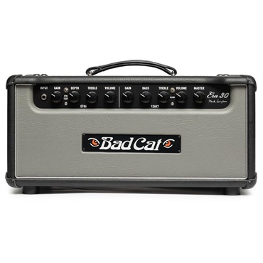 ERA 30 Head Gray（バッドキャット）