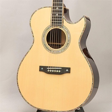 FONZO GUITARS V-33S SJFC