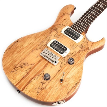 Ikebe Exclusive SE Custom 24 Spalted Veneer (Natural)