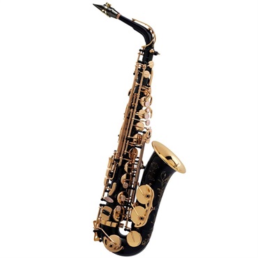Selmer Paris 【アウトレット特価】アルトサックス セルマー SA-80II(シリーズ2) ジュビリー BL(ブラックラッカー仕上げ) w/e(彫刻付) 【調整&セットアップ後出荷】【5年間キーバランス調整無料】
