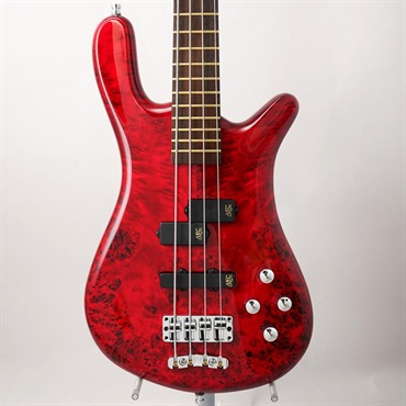 Pro Series Streamer LX 4st Birdseye Poplar Top (Dark Bleached Red TP HP) [Ikebe 50th Anniversary Special Edition] #013960