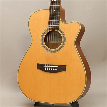 Master Built TE.Personal Cutaway メイトン