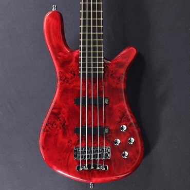 Pro Series Streamer LX 5st Birdseye Poplar Top (Dark Bleached Red TP HP) [Ikebe 50th Anniversary Special Edition] #013968