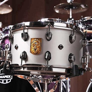 ACMP4800LPG [Artist Collection Aquiles Priester PsychOctopus Snare14×8]