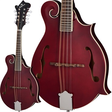 F-5 Studio (Wine Red） エピフォン