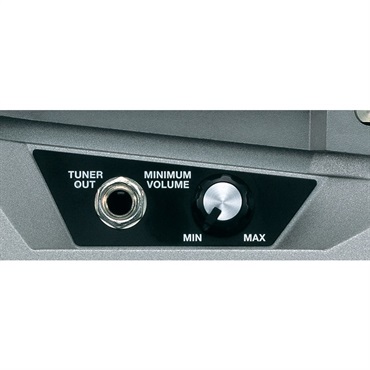 BOSS FV-500L ボリュームペダル ボス 画像1