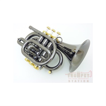 CAROL BRASS キャロルブラス / N3000 BLK 【Bb ポケット トランペット 】【出荷前調整で安心】 画像1