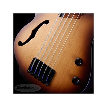 Ibanez Bass Workshop SRH505F-NNF 画像3