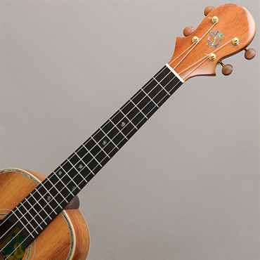 BIG ISLAND KX-TRG KX Koa Tenor ビッグアイランド 画像8