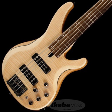 YAMAHA TRBX605FM (NS) 画像1
