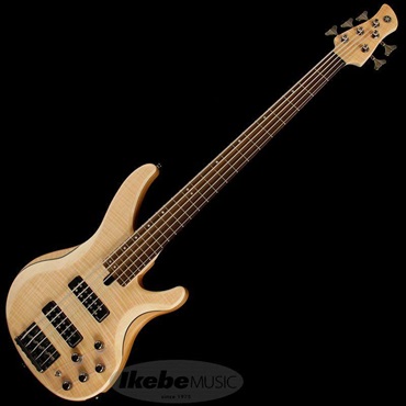YAMAHA TRBX605FM (NS) 画像2