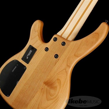 YAMAHA TRBX605FM (NS) 画像4