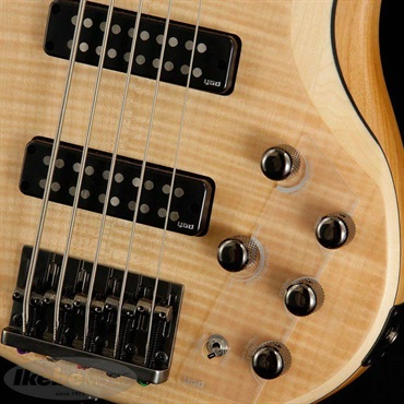 YAMAHA TRBX605FM (NS) 画像5