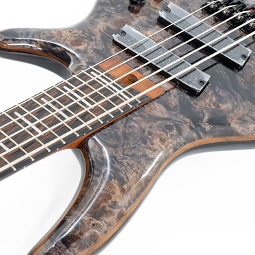 Ibanez Bass Workshop SRMS805-DTW 画像8