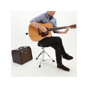 BOSS WL-20L Wireless System ワイヤレスシステム ボス 画像3