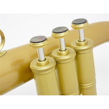 CAROL BRASS 【夏先取り大特価セール】キャロルブラス / N6200 ALL-SATIN GB 【Bb フリューゲル ホルン】【出荷前調整で安心】 画像4
