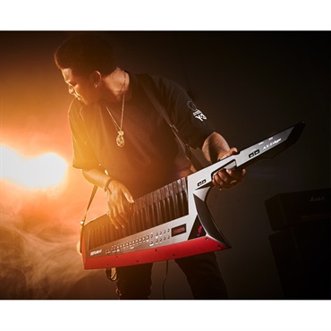 Roland AX-EDGE-B ブラック ローランド Keytar キーター ショルダーキーボード ショルキー ステージ 画像9