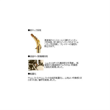 YAMAHA アルトサックス ヤマハ YAS-82ZB 【調整&セットアップ後出荷】【5年間キーバランス調整無料】【演奏＆お手入れに必要なもの全て付いてます】 画像3