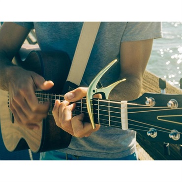 ERNIE BALL AXIS CAPO #9601 (SILVER) 画像1