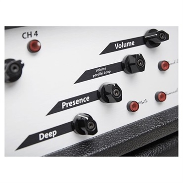Diezel VH4 [100W HEAD][EL-34]（ディーゼル） 画像4