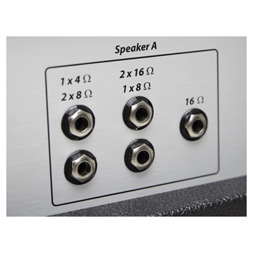 Diezel VH4 [100W HEAD][EL-34]（ディーゼル） 画像10