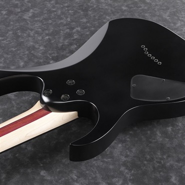 Ibanez Iron Label RGIXL7-BKF (Black Flat) 画像3