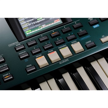 HAMMOND SK PRO‐73 (73鍵盤モデル) 画像5