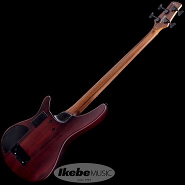 Ibanez Bass Workshop SRH500F-NNF 【夏先取り大特価セール】 画像2